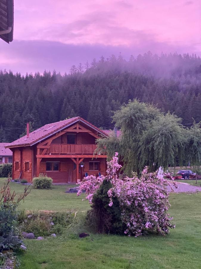 Le Chalet De La Deviniere, Bain Nordique Exterieur Chauffe Xonrupt-Longemer Kültér fotó